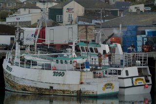 Truro registered crabbers, Cesca and Intuition